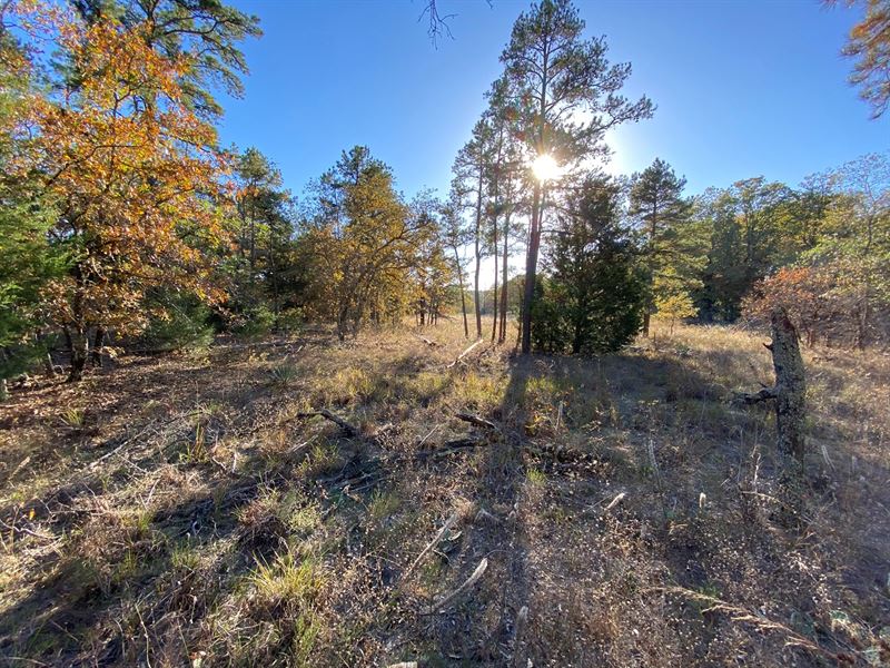 East Texas Land Wood County Hawkins : Hawkins : Wood County : Texas