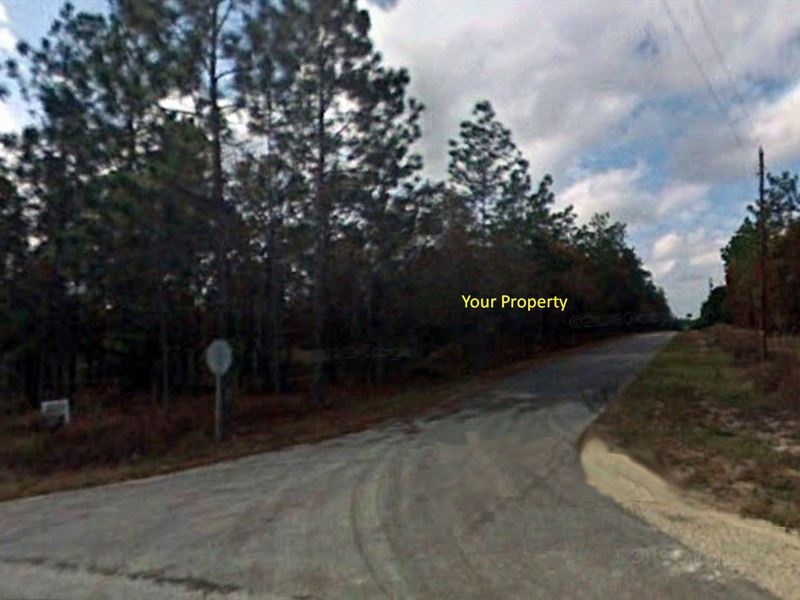 .24 Acre Lot on Paved Road : Dunnellon : Marion County : Florida
