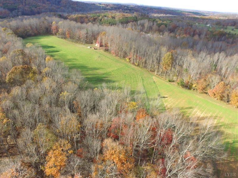 Nicely Laying Farm Land Callands : Callands : Pittsylvania County : Virginia