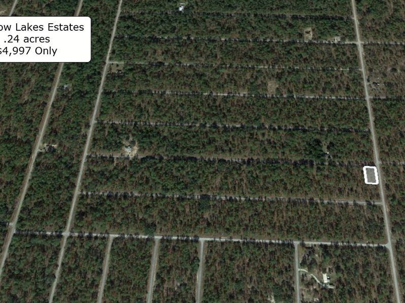 .24 Acre Lightly Wooded Corner Lot : Dunnellon : Marion County : Florida