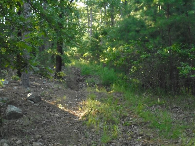 Recreational Hunting Land Property : Daisy : Atoka County : Oklahoma