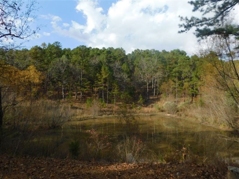 Cabin 20 Acres, Off Grid Mountain : Hodgen : Le Flore County : Oklahoma