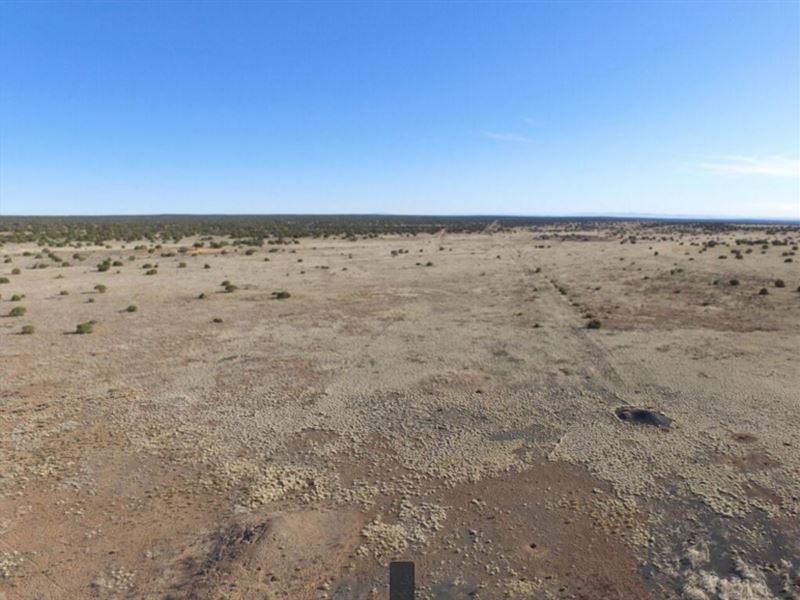 1.25 Acres in Saint Johns : Saint Johns : Apache County : Arizona