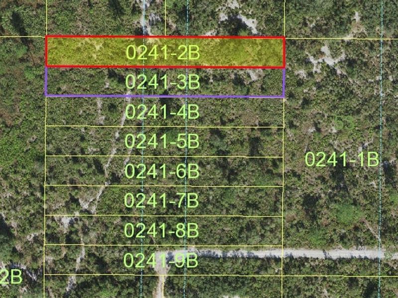 Lot for Camping with Friends No 498 : Holopaw : Osceola County : Florida