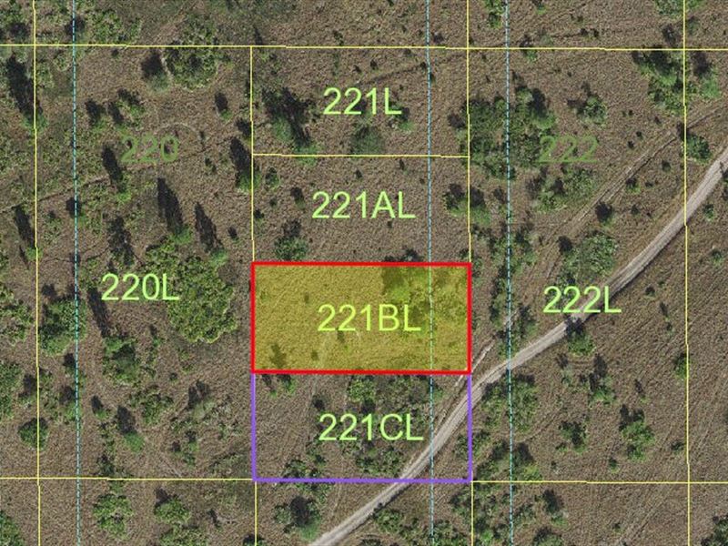 Play All Day, Recreational Lot : Holopaw : Osceola County : Florida