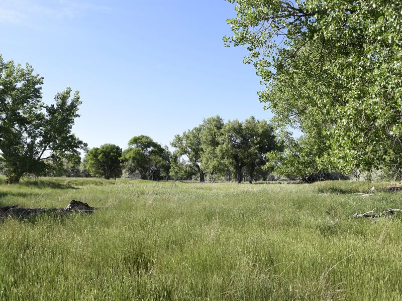 Yellowstone River Frontage : Forsyth : Rosebud County : Montana