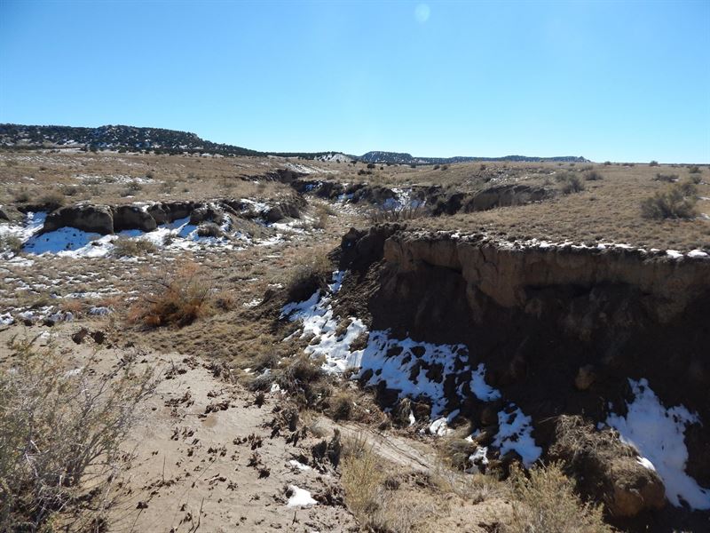 Pinon Land and Cattle 320 : Model : Las Animas County : Colorado