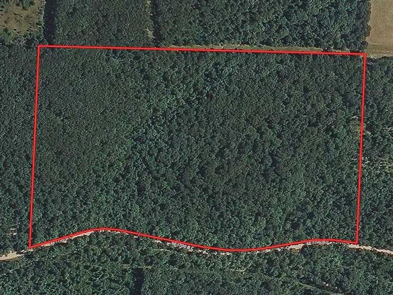 55 Acres of Timberland in Bento : Edwards : Benton County : Missouri
