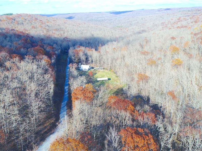 Ozark Mountains Cabin and 80 Acres : Witter : Madison County : Arkansas
