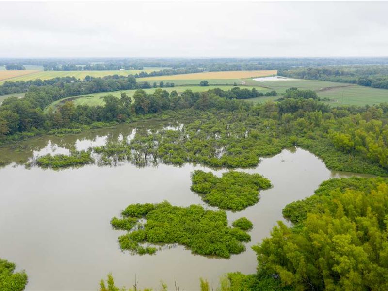 75 Acres, Duck Hunting, Deer : Newport : Jackson County : Arkansas