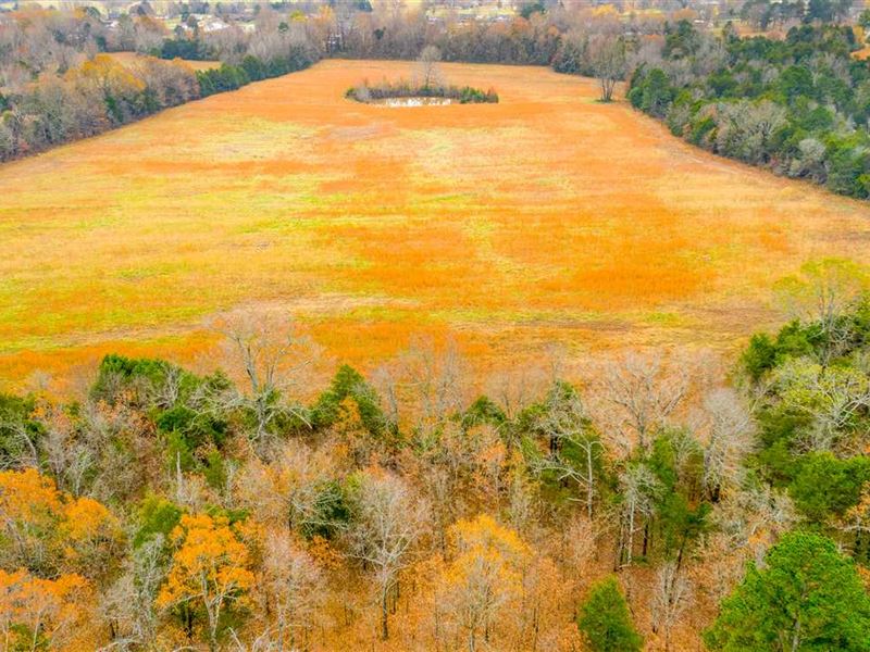 70 Acres, Great Access, Pond : Cave City : Sharp County : Arkansas