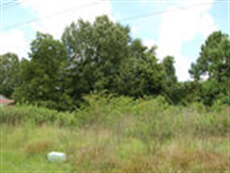 .23 Acres in Hinds, MS : Jackson : Hinds County : Mississippi