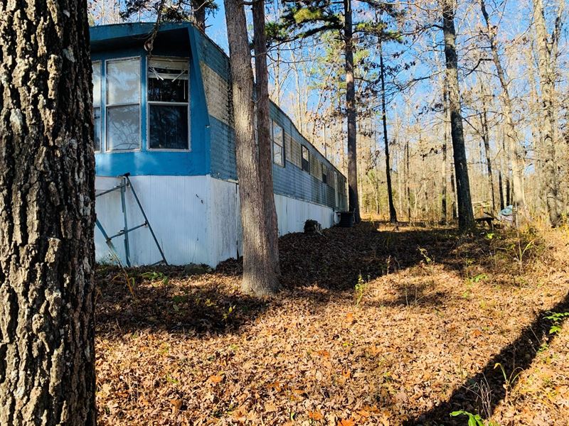 Hunting Land in Oxford, Arkansas : Oxford : Izard County : Arkansas