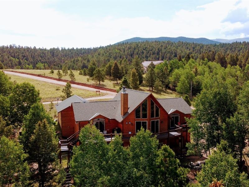 Majestic Mountain Property : Divide : Teller County : Colorado