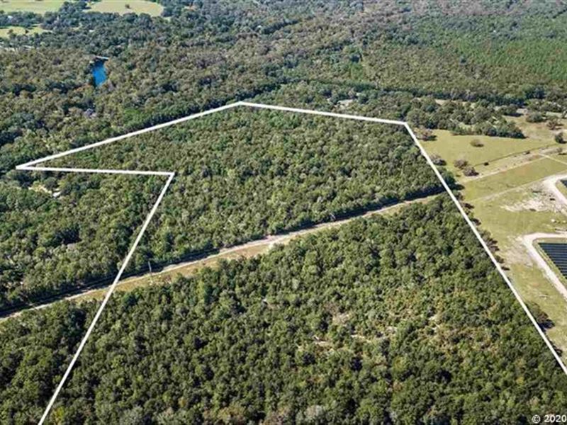 Great Investment Opportunity : Fort White : Columbia County : Florida