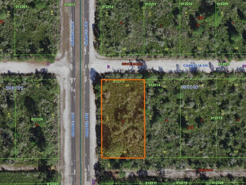 .50 Acre Lot, Vacant Land, Central : Indian Lake Estates : Polk County : Florida