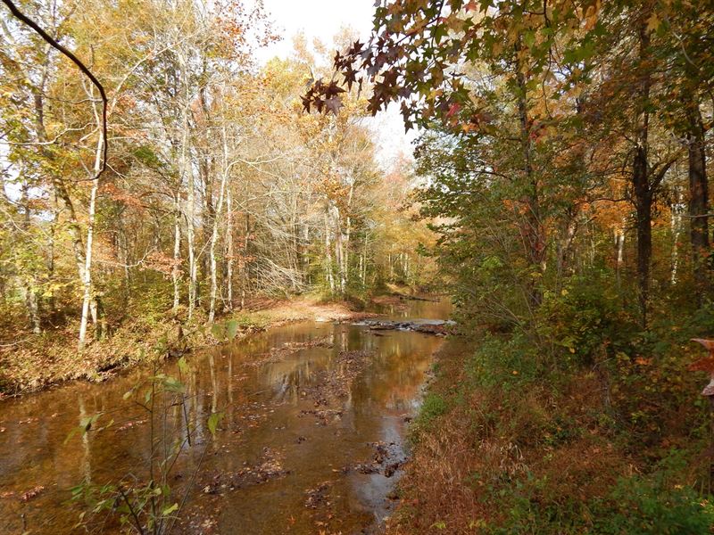 Tn. Historic Home, 6 Acres Land : Iron City : Wayne County : Tennessee