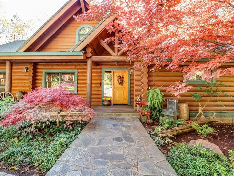 California Log Home Equine Property : Gold Run : Placer County : California