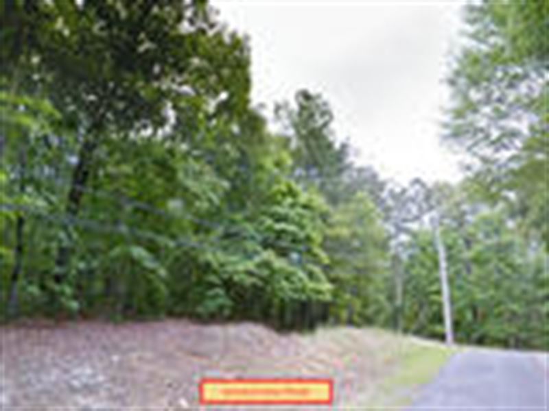 .38 Acres in Talladega, Alabama : Talladega : Talladega County : Alabama