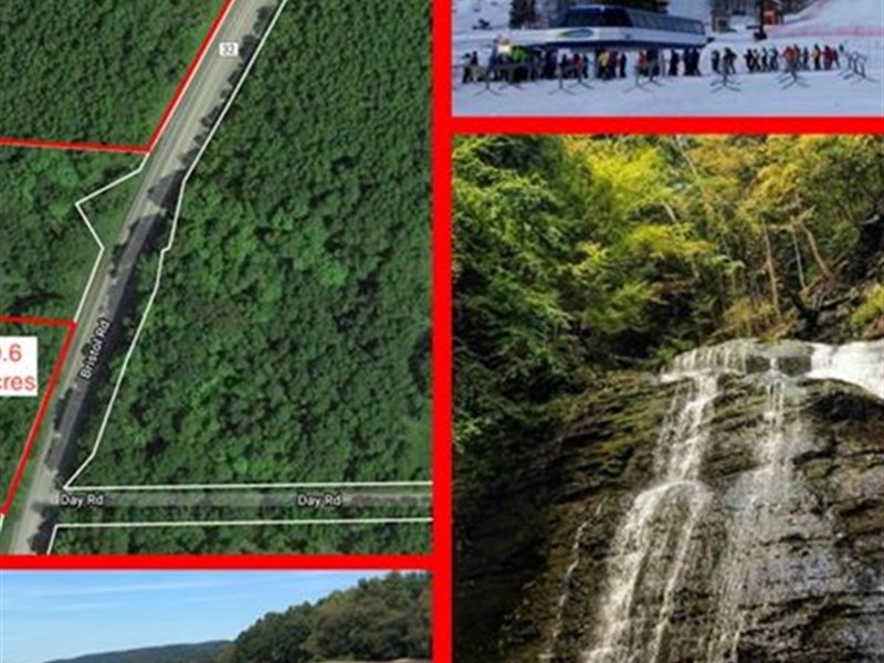 Perfect 4.6Ac Build Site Bristol NY : Canandaigua : Ontario County : New York
