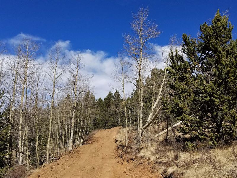 Gentle South Slope : Cripple Creek : Teller County : Colorado