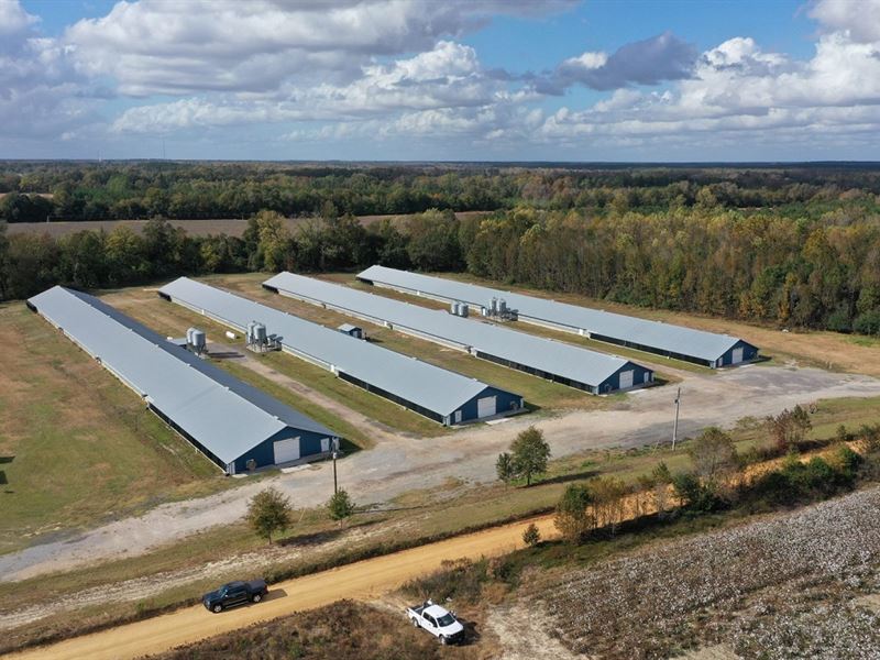 Song Broiler Farm, Williston, SC : Williston : Barnwell County : South Carolina