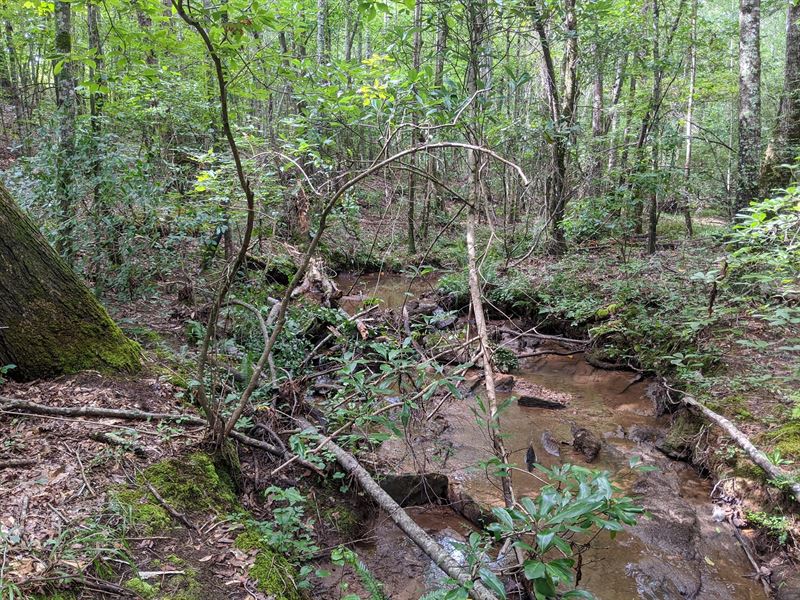 Swagg Tract, 74 Acres : Wedowee : Randolph County : Alabama