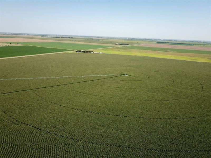 Pratt County 1168 Irrigation : Iuka : Pratt County : Kansas
