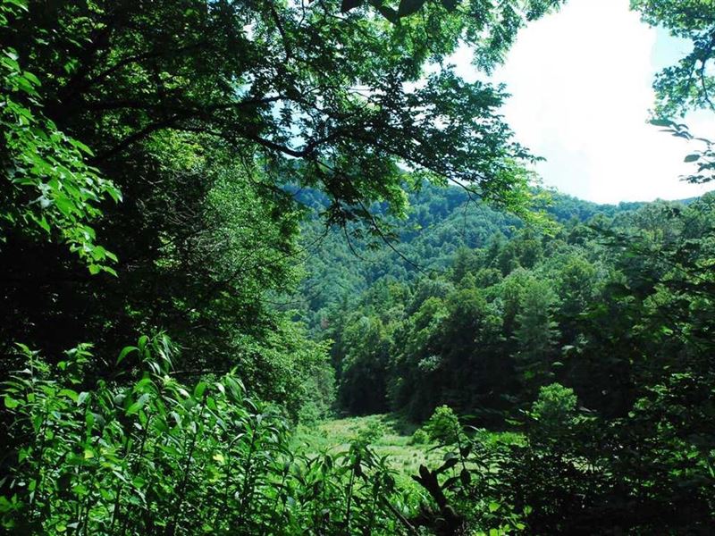 36.49 Acres in Beautiful Madison : Marshall : Madison County : North Carolina