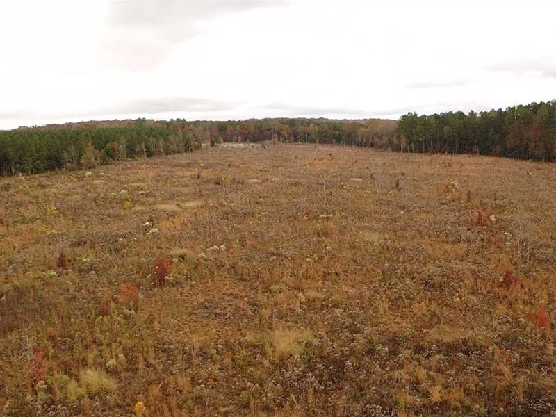 323 Acres in Monroe County : Aberdeen : Monroe County : Mississippi