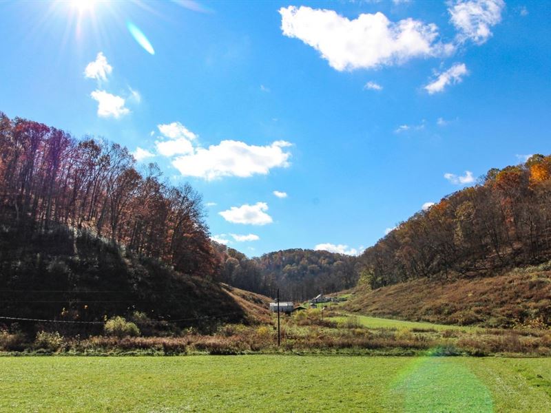 Jones Run Rd, 82 Acres, Washingto : New Matamoras : Washington County : Ohio