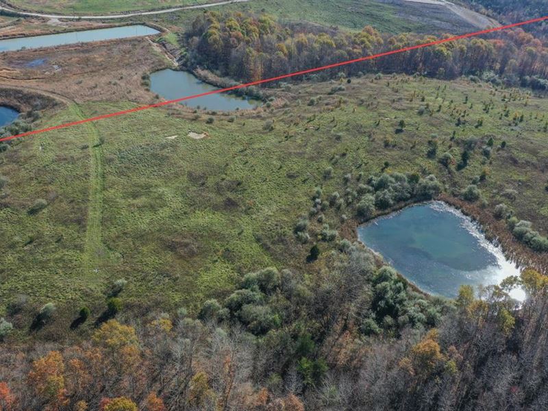 Number 12 Hollow Rd, 200 Acres : Wellston : Jackson County : Ohio