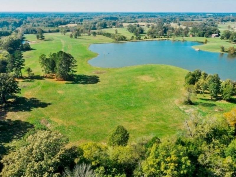 55 Acres Lakefront Land for Sale St, Land for Sale in Mississippi