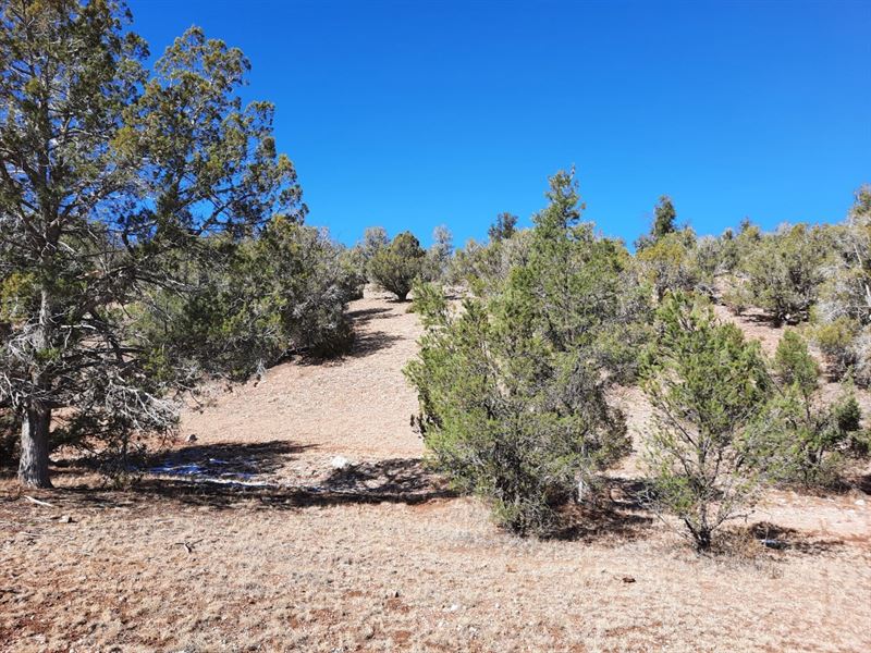 Secluded Parcel : Seligman : Yavapai County : Arizona