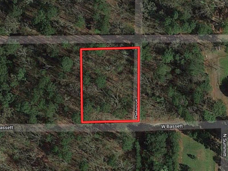 .812 Acres Morris County, TX Lot 7 : Lone Star : Morris County : Texas