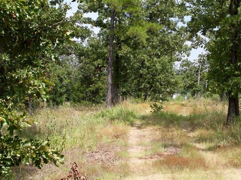 Oklahoma, Pushmataha County : Clayton : Pushmataha County : Oklahoma