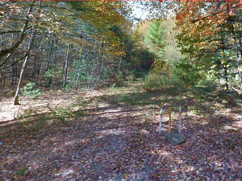 Buy for $60K Under Market Value : Douglas : Worcester County : Massachusetts