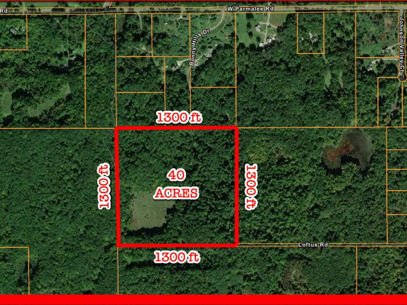 Great Hunting Property : Middleville : Barry County : Michigan