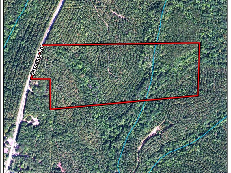Banning Road 45 : Whitesburg : Carroll County : Georgia