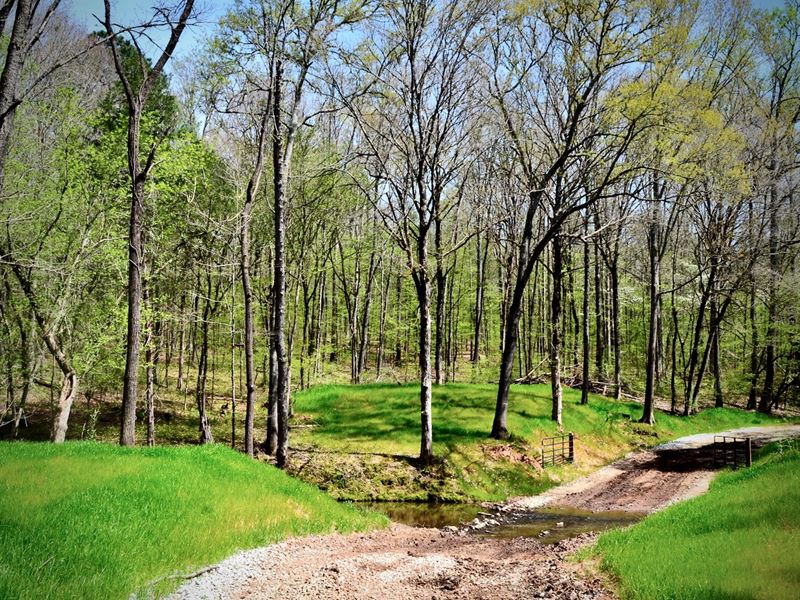 Outstanding Hunting and Timberland : Abbeville : Abbeville County : South Carolina