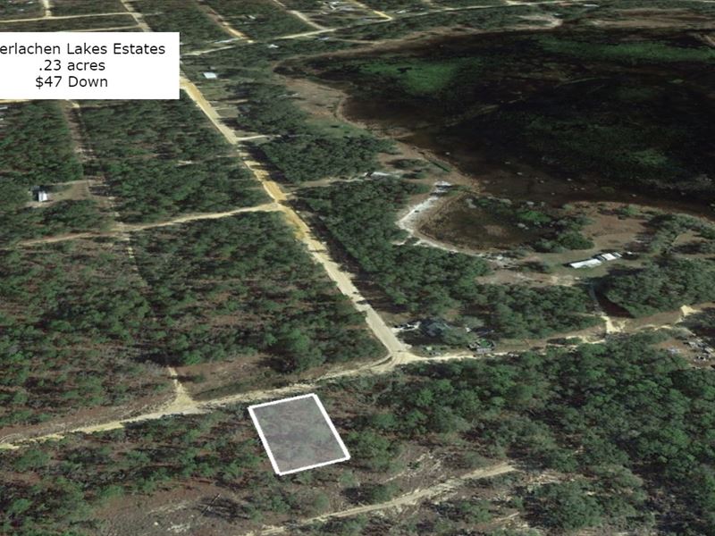 .23 Acre Mobile Friendly Lot : Interlachen : Putnam County : Florida