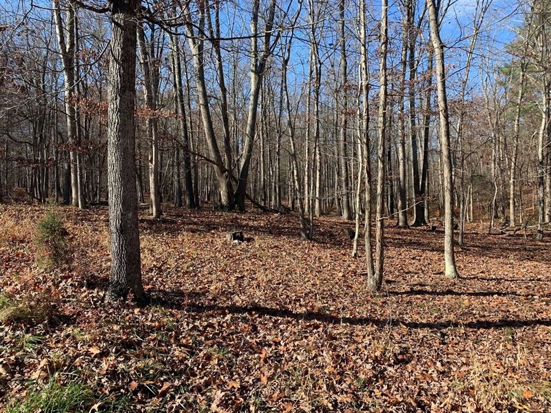 Great 3.22 Acre Wooded Lot Nice : Capon Bridge : Hampshire County : West Virginia