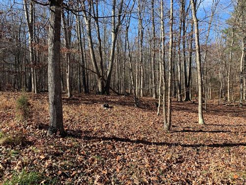 Great 3.22 Acre Wooded Lot Nice : Capon Bridge : Hampshire County : West Virginia