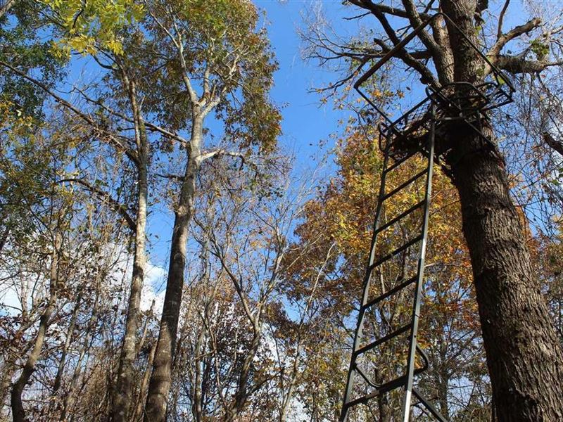 Hunting Ranch Getaway with Cozy Cab : Moyers : Pushmataha County : Oklahoma