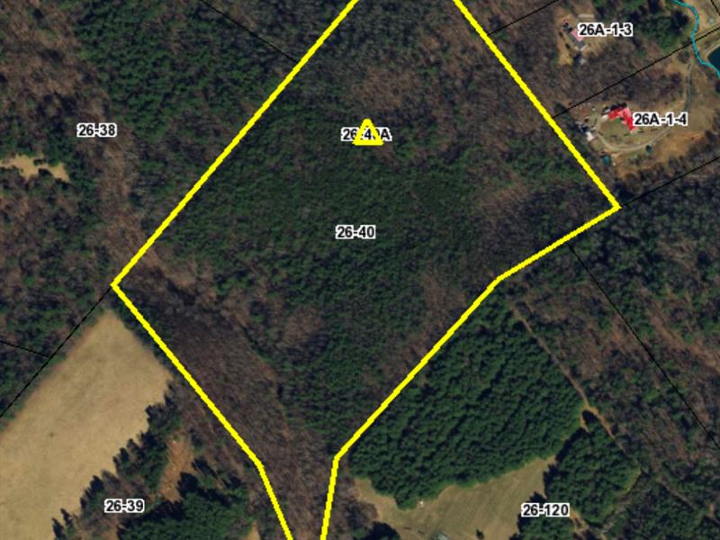 Secluded Land For Sale in Floyd VA Land for Sale in Floyd, Floyd