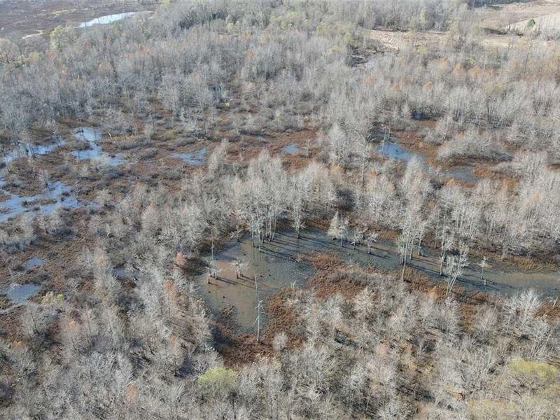 $50K Price Adjustment-269 Acres : Medina : Madison County : Tennessee