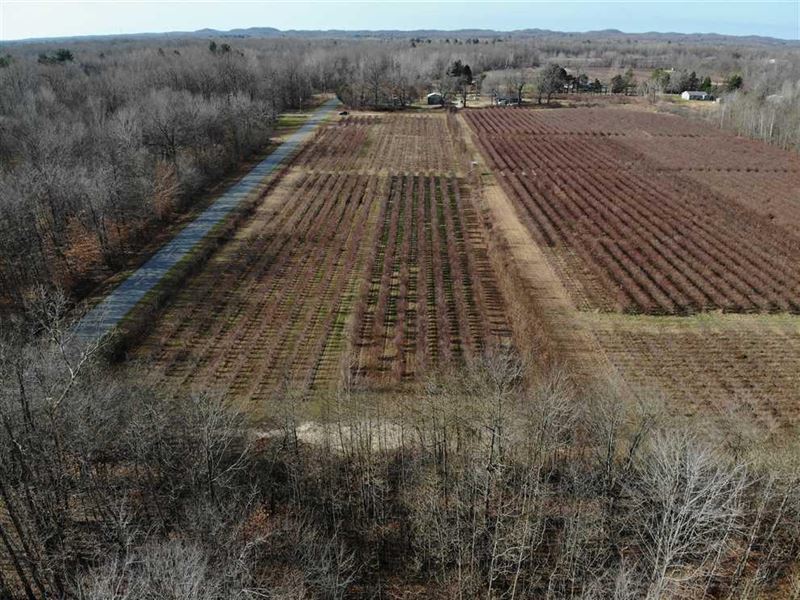 For Sale 9 Acre Blueberry Farm : Covert : Van Buren County : Michigan
