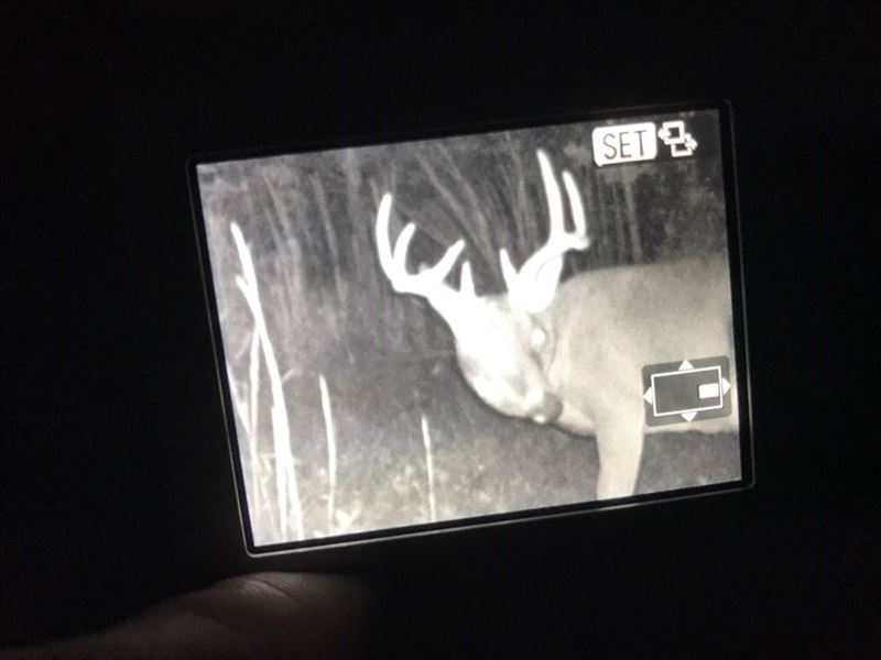 Ozarks Home, Acreage Piedmont : Piedmont : Wayne County : Missouri