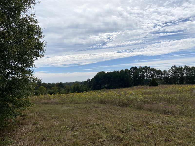 Pasture & Woods in Carroll County : Carrollton : Carroll County : Georgia