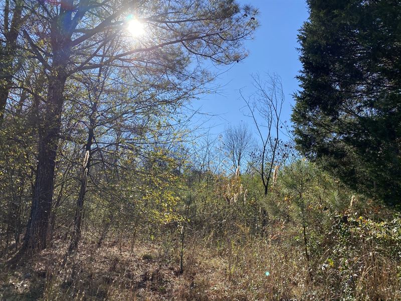 Land TN Cable Internet, Water : Morris Chapel : Hardin County : Tennessee